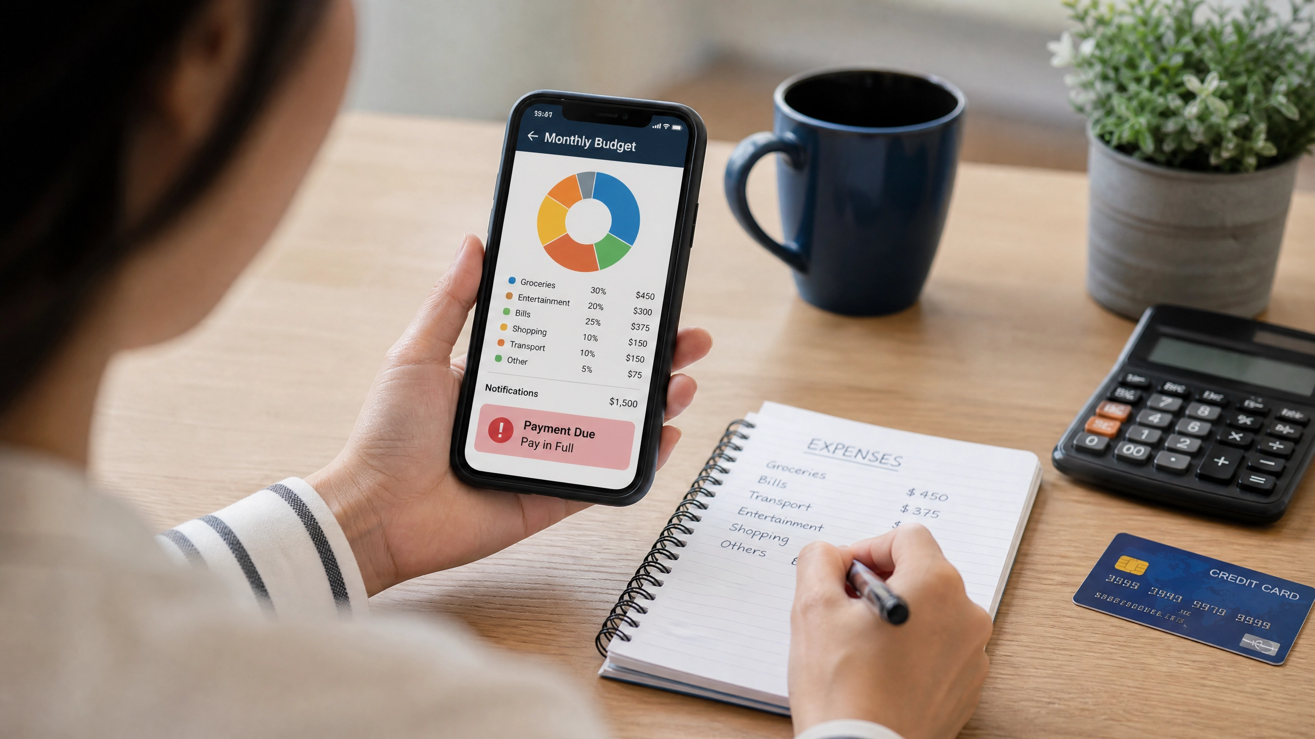 Best Credit Cards for Beginners 2026 Guide)